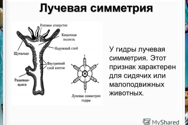 Кракен безопасный вход