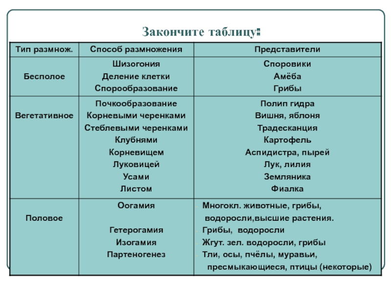 Кракен ссылки krakenwebs org