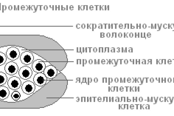 Кракен наркоман