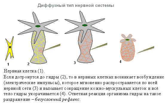 Кракен маркетплейс вход